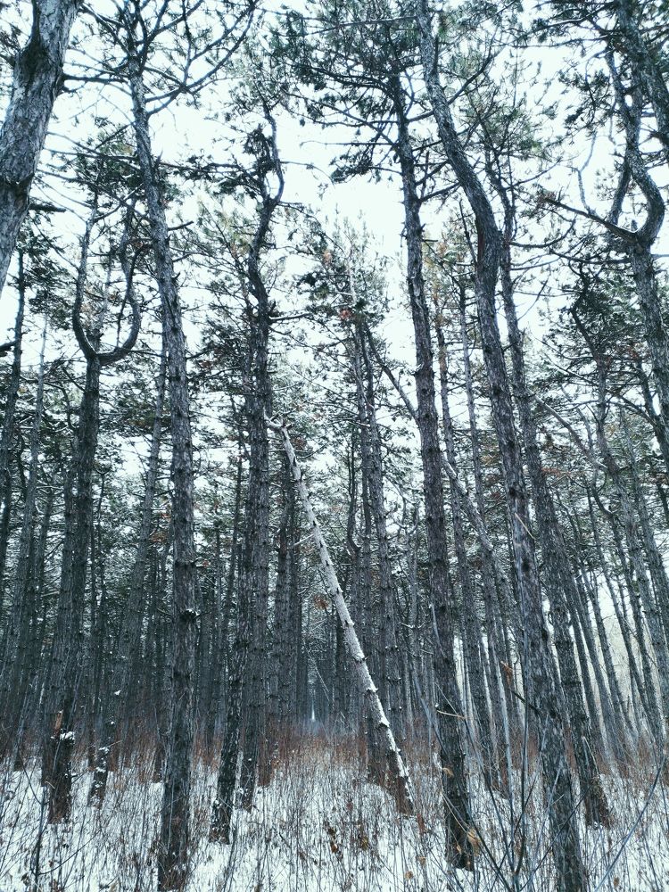 Photograph by Алексей Гуминский