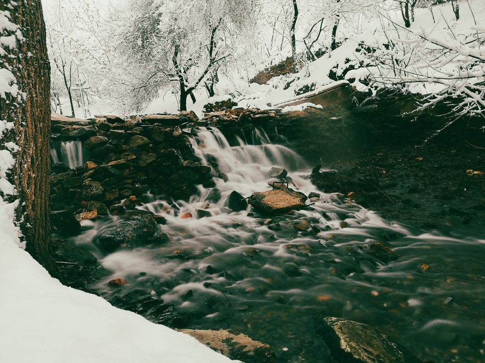 Photograph by Алексей Гуминский