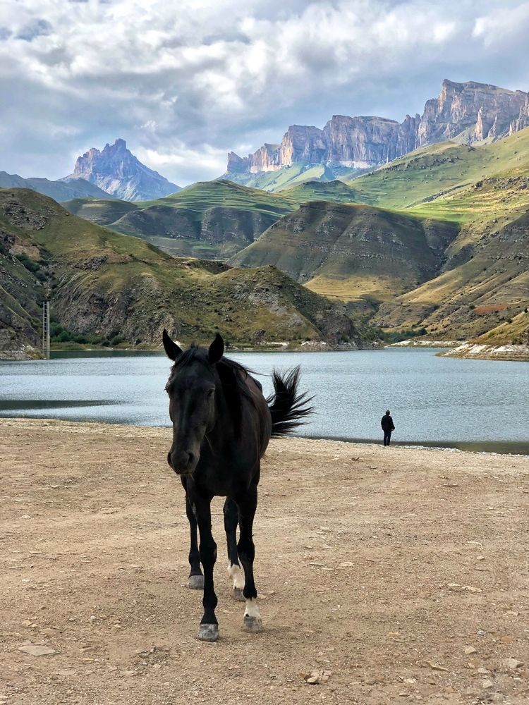 Photograph by Артём Мелетов