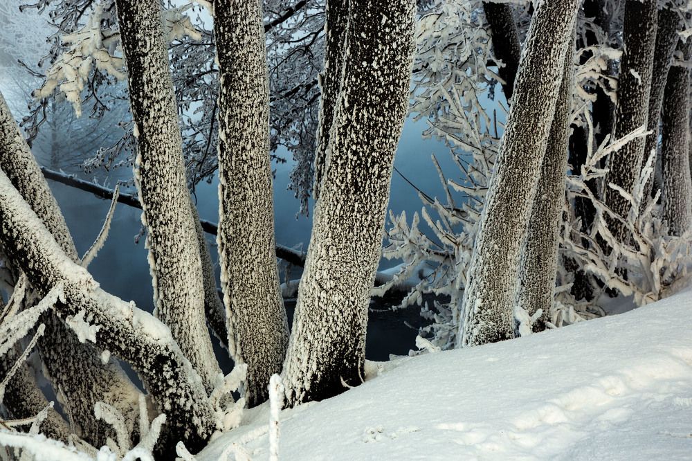 Photograph by Валерий Лукьянов