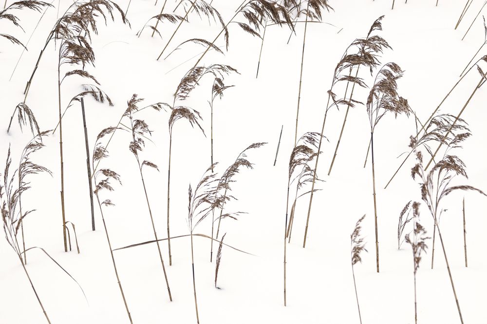 Photograph by Alexandr