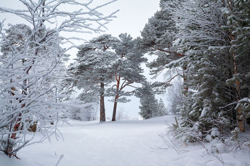 Photograph by Александр Кузнецов