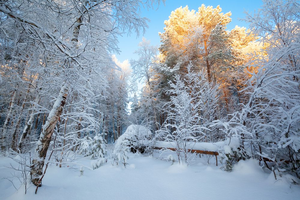 Photograph by Александр Кузнецов