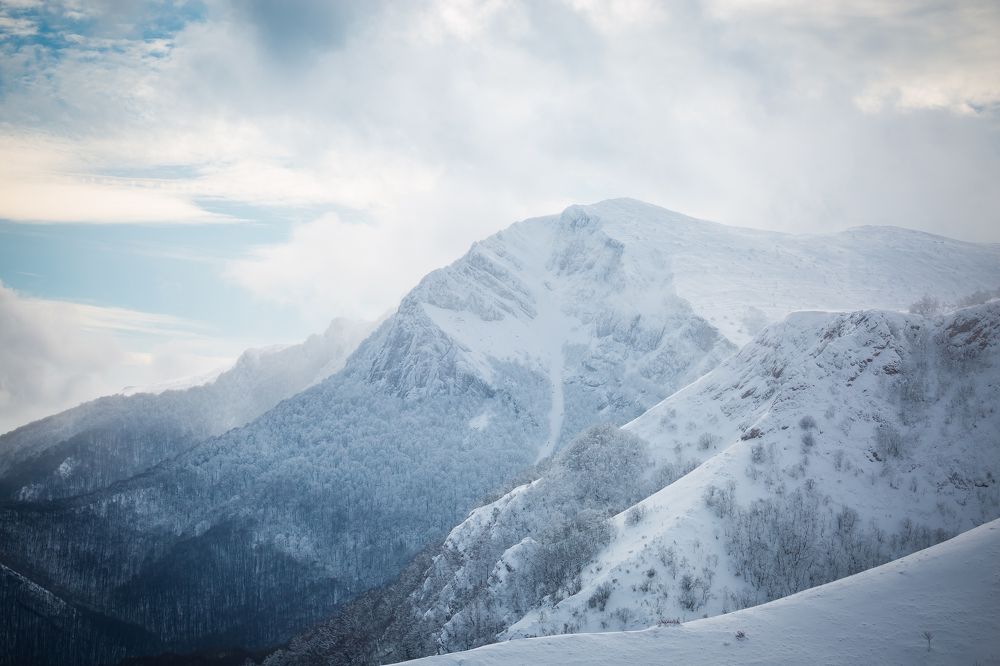 Холодный кулуар