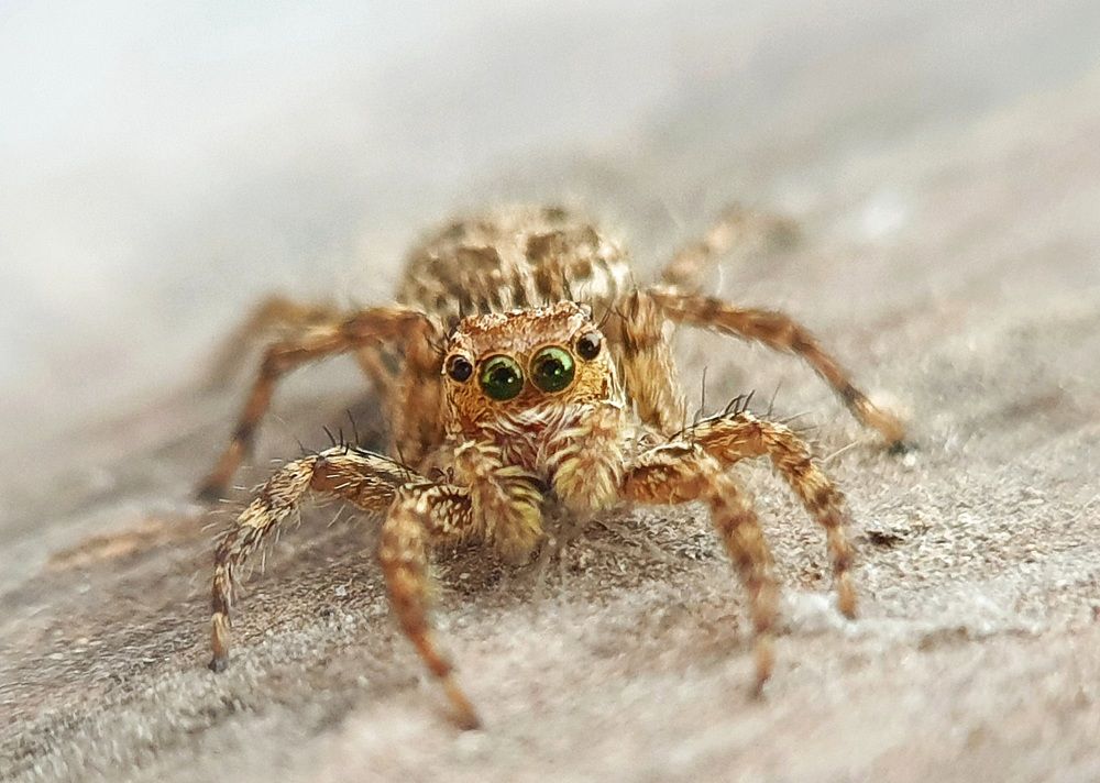 Photograph by Lien Nguyen