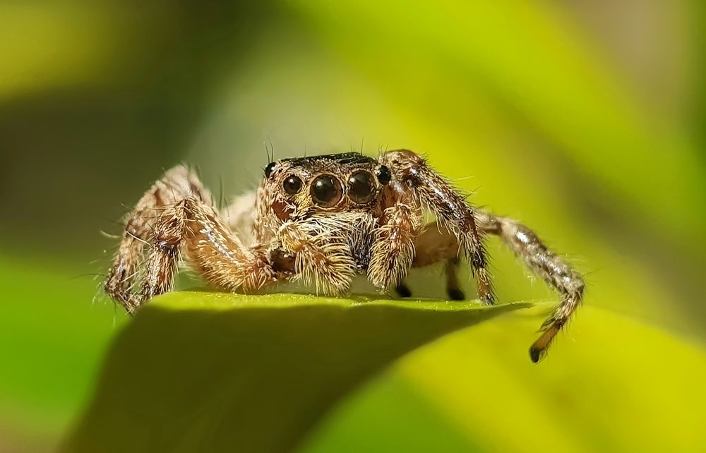 Photograph by Lien Nguyen