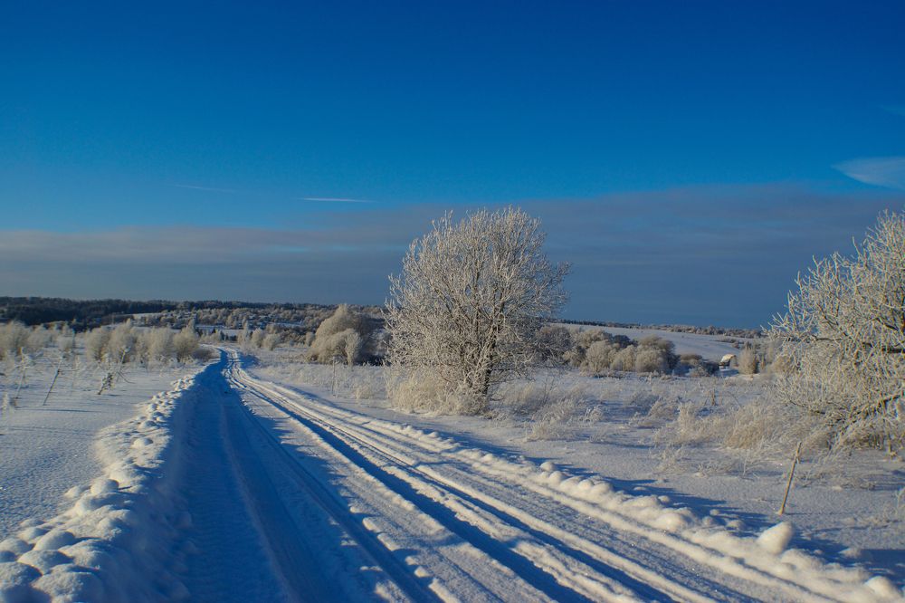 Зимняя лепота