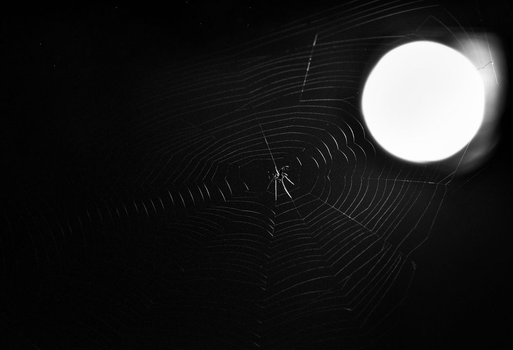 Photograph by Parnava Das