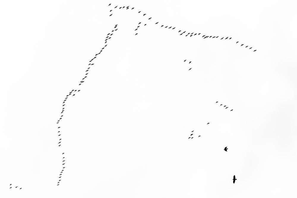 Photograph by Дмитрий Бахтадзе