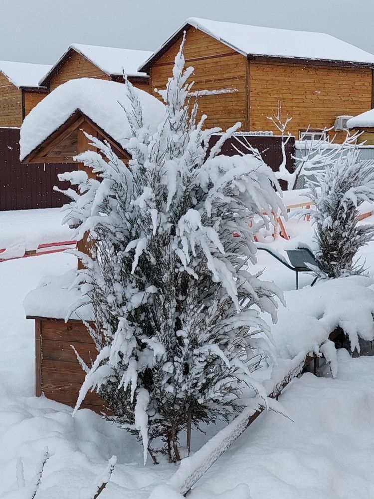 Photograph by Наталья Пусулиди