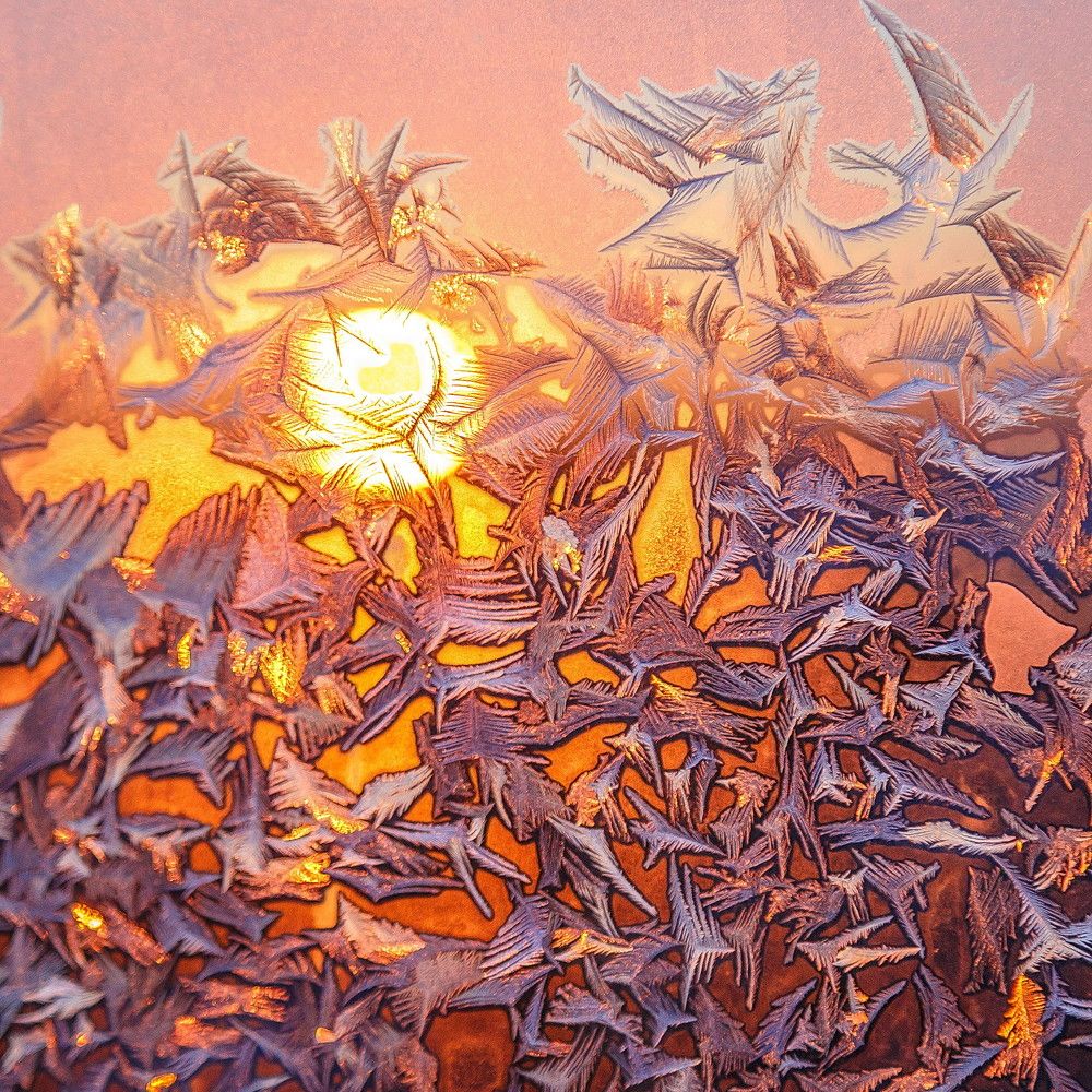 Photograph by Тимофей Шутов