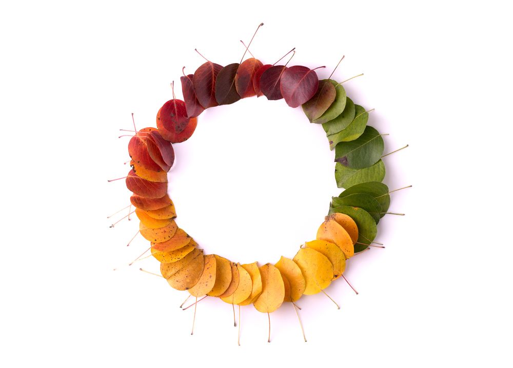 Photograph by Анна Айбетова