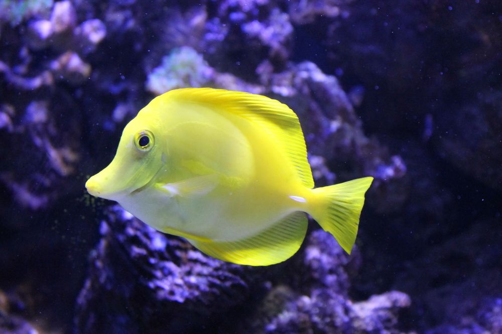 Photograph by Ferreira Francisco