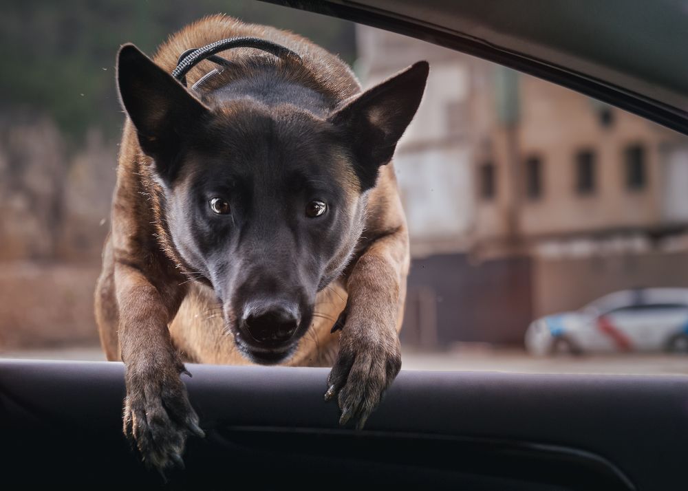 Photograph by Mike Kremer