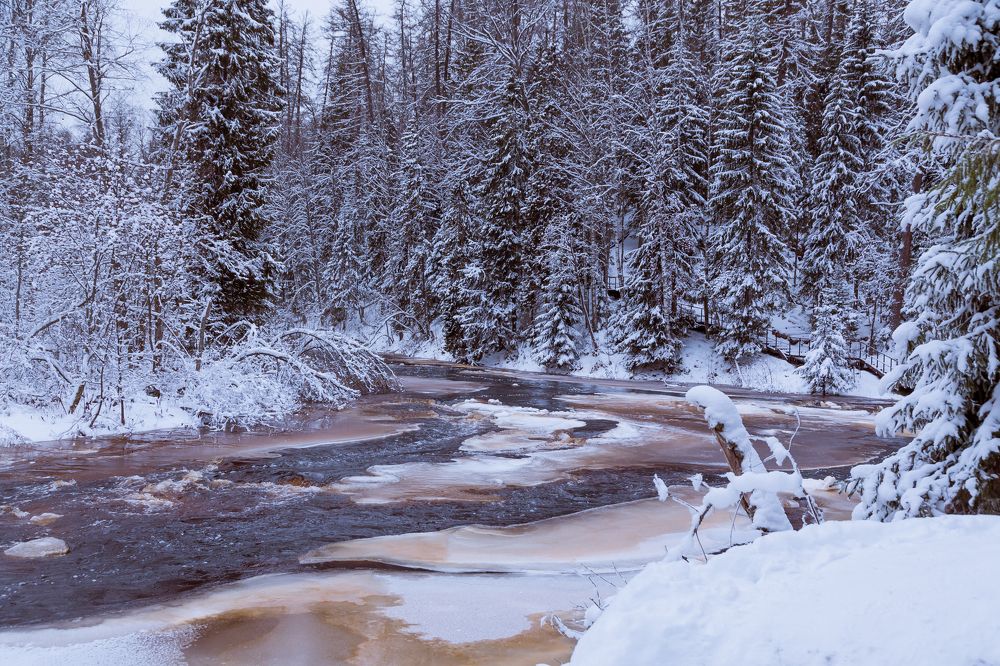 Photograph by Инна Юдина