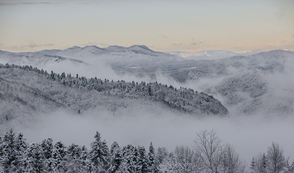 Photograph by Ernest Mazarekić
