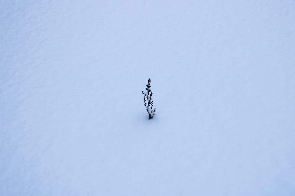 Photograph by Карина Терентьева