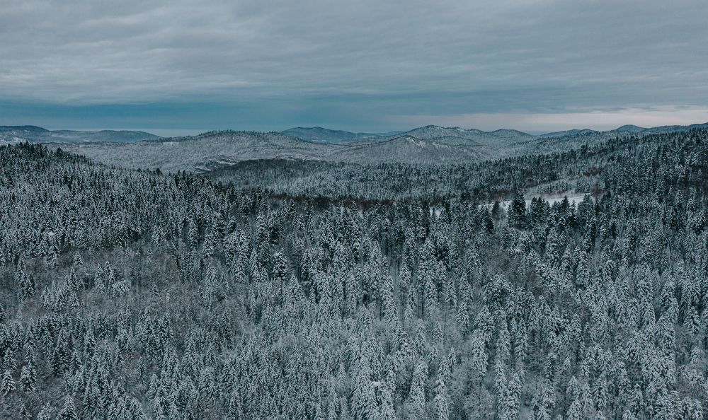 Photograph by Ernest Mazarekić