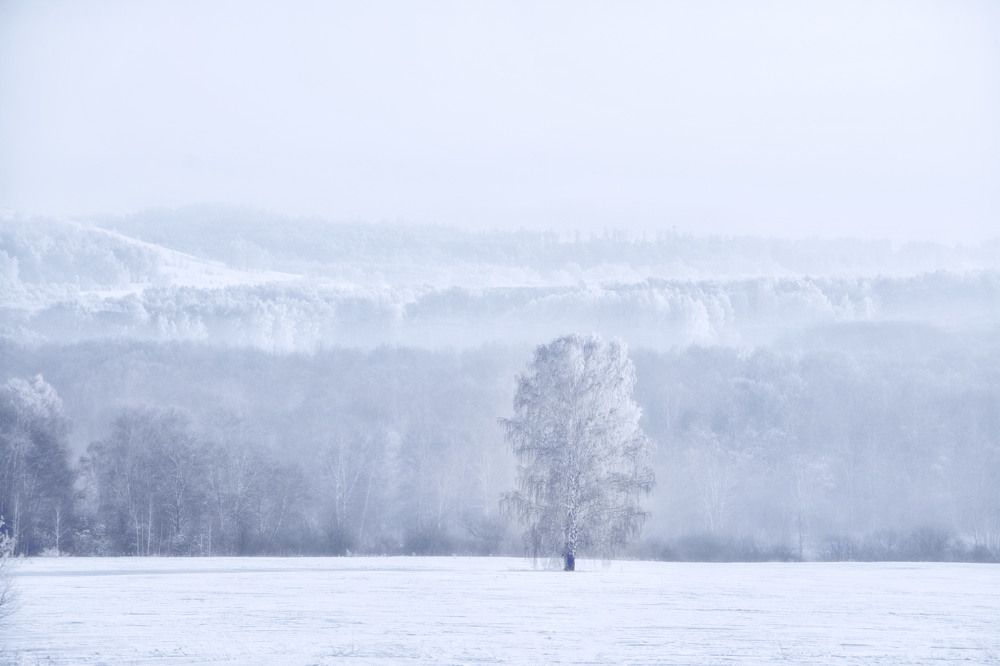 Photograph by Юлия Лушникова