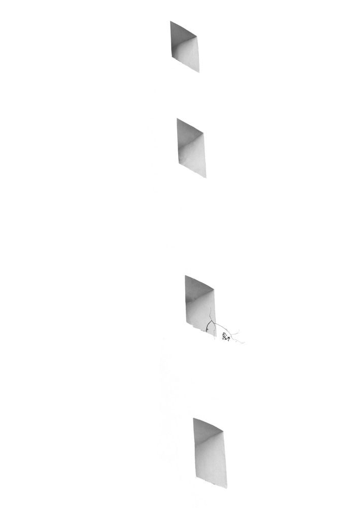 Photograph by Ruslan Tsyrulkevych