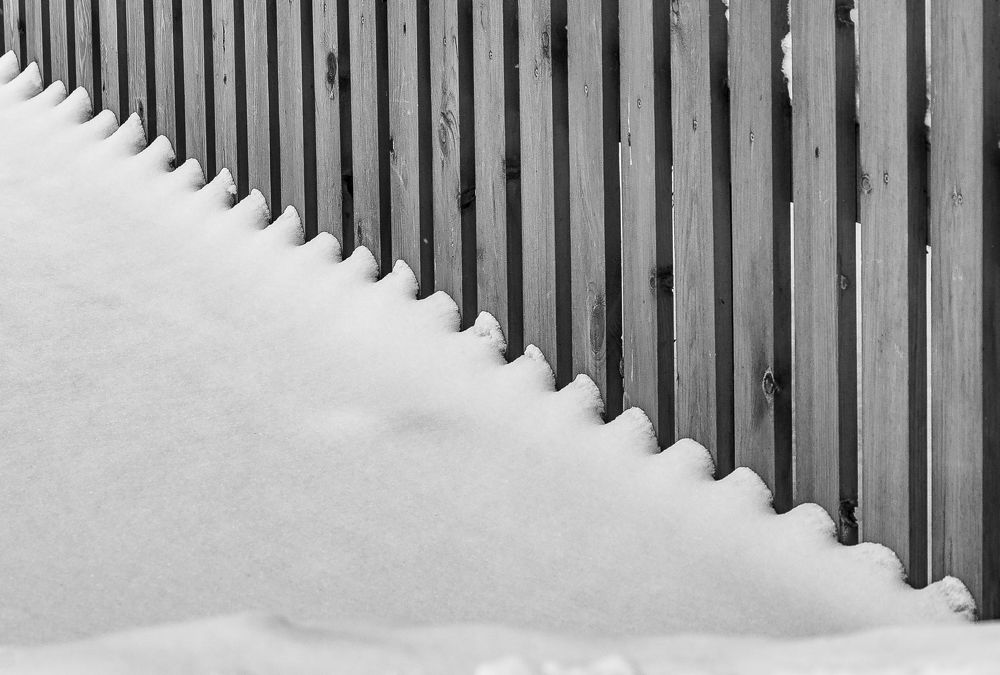 Фотография автора Алексей Шуплецов