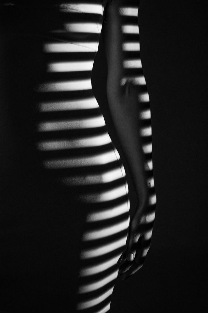 Фотография автора Тимофей Строгий