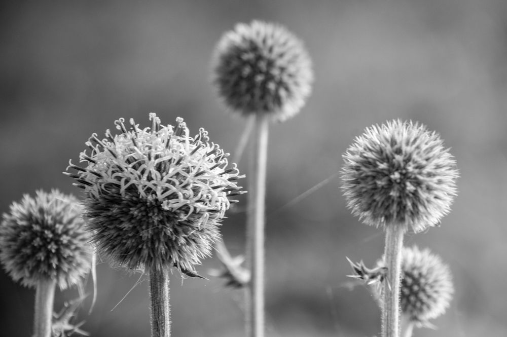 Photograph by Николай Путинцев