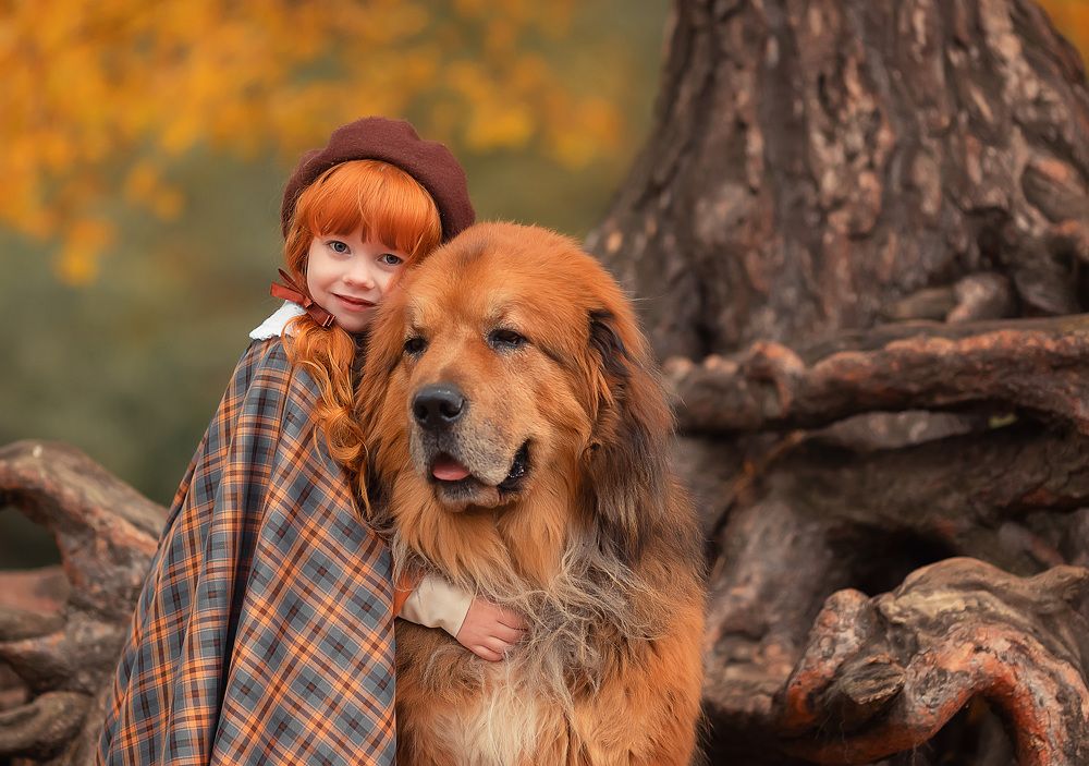 Осенняя прогулка