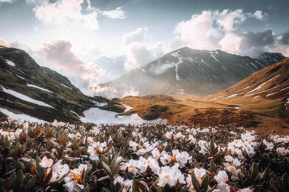 Photograph by Сергей Шабанов