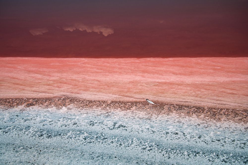 Гость небесный