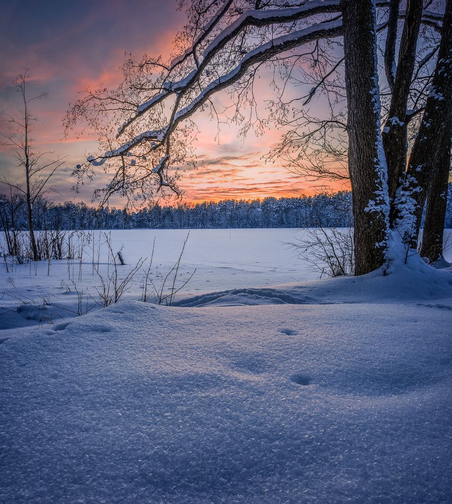 Фотография автора Евгений Кузнецов