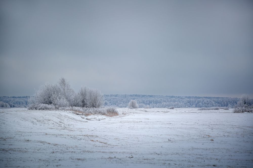 Photograph by Алексей Трифонов