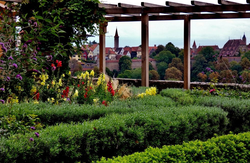 Photograph by backareva irina