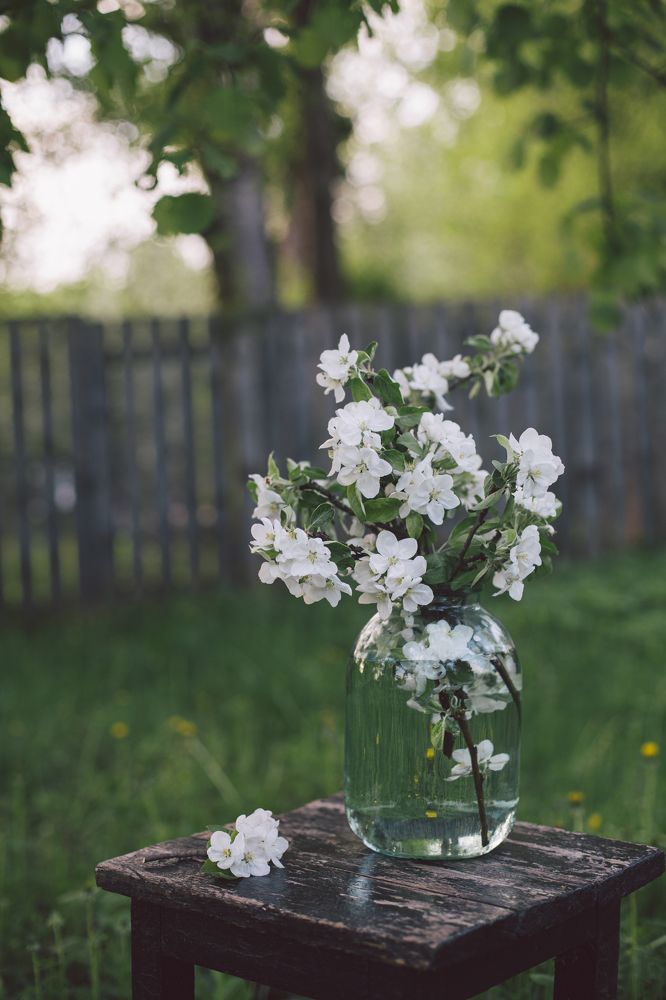 Photograph by Аня Малышева