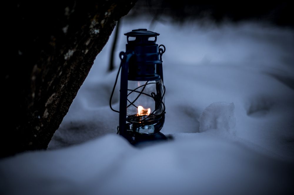 Фотография автора Алексей Григорьев