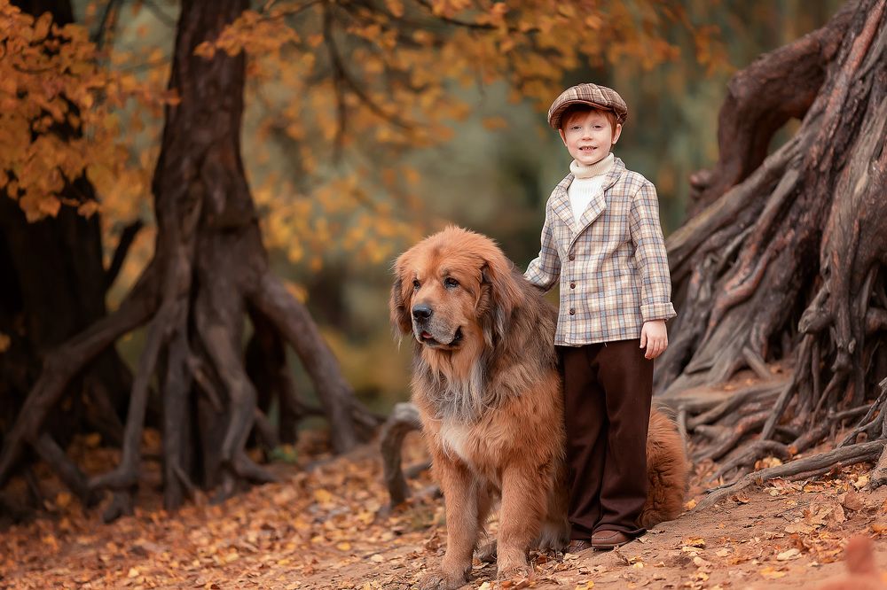 Осень с друзьями