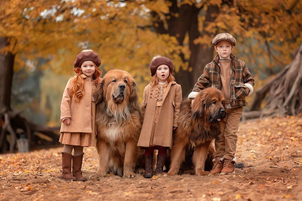 Photograph by Виктория Королева