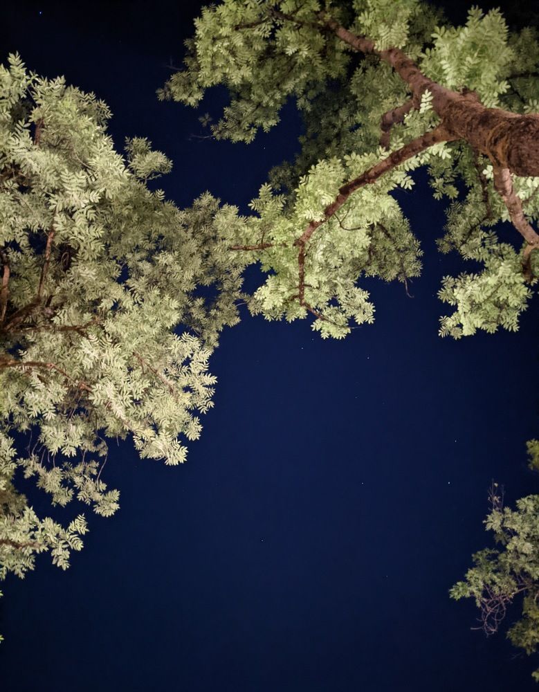 Photograph by Nika Rodionova