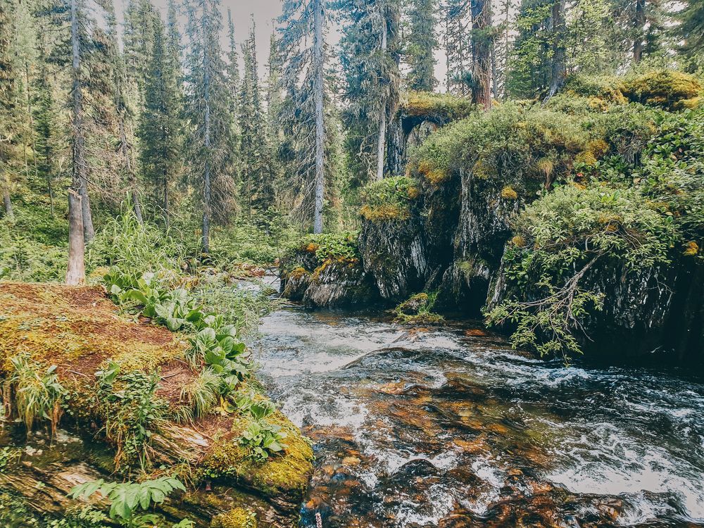 Photograph by Ринат Гарипов