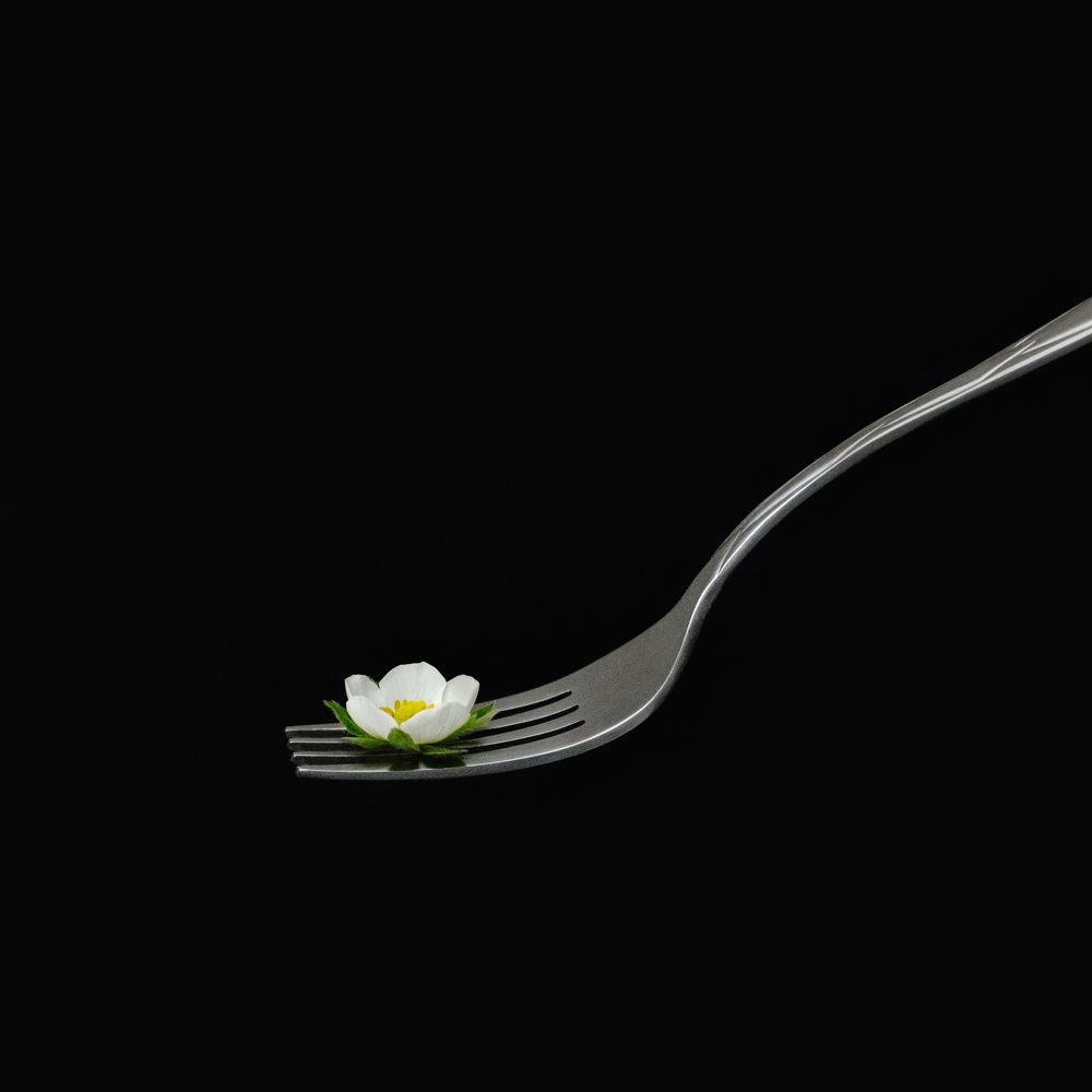 Фотография автора Екатерина Вострикова