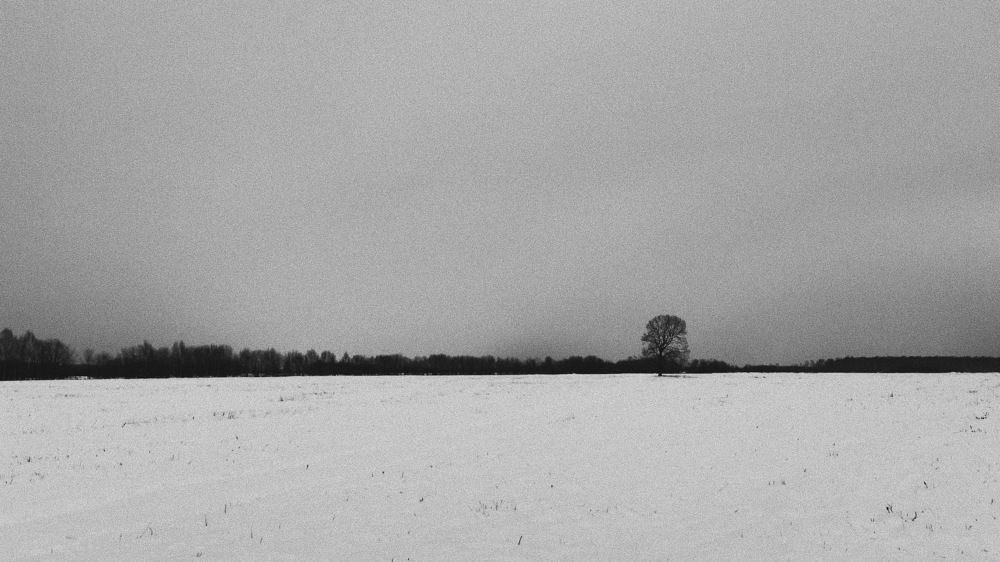 Photograph by Alina Belonozhko