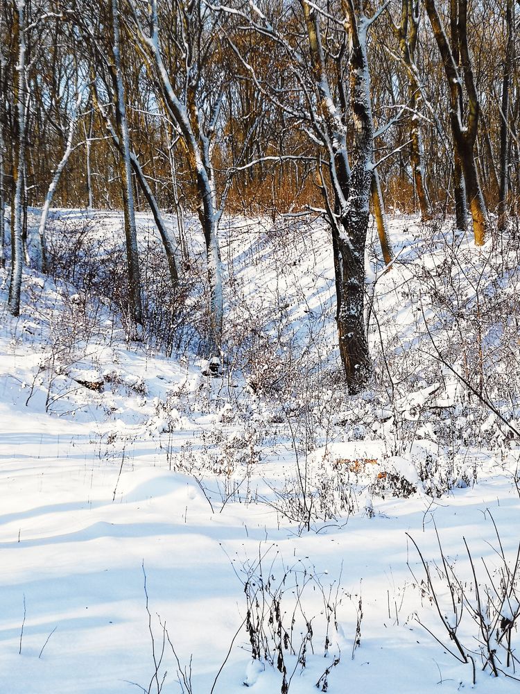 Photograph by Алексей Гуминский