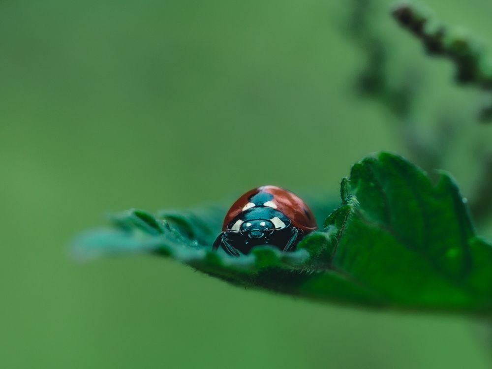 Photograph by Waldemar Graf
