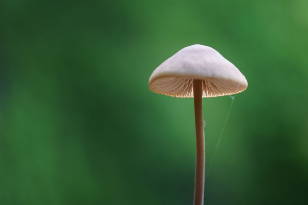 Photograph by Waldemar Graf