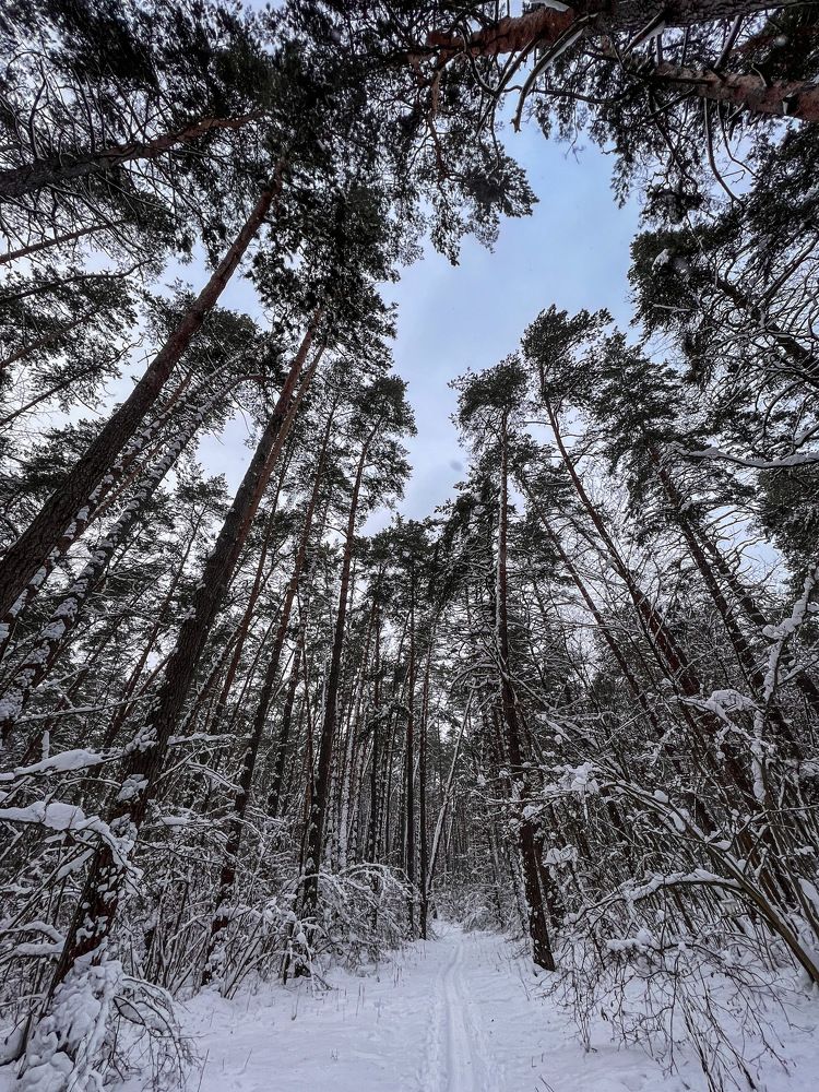 Photograph by Индира Кузнецова