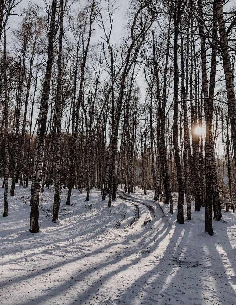 Photograph by Индира Кузнецова