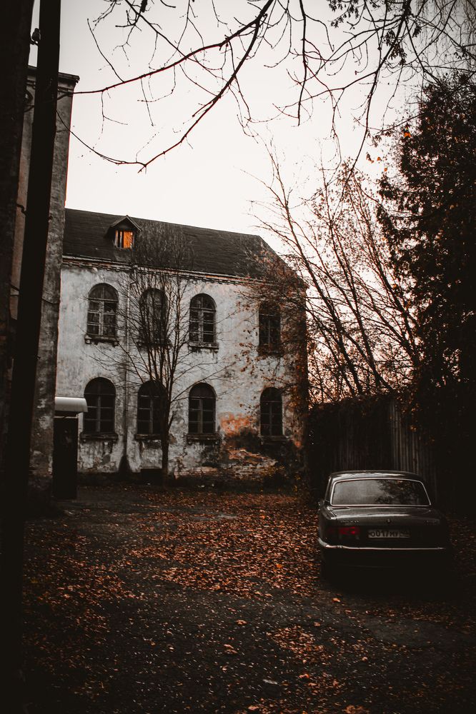 Photograph by hobbit