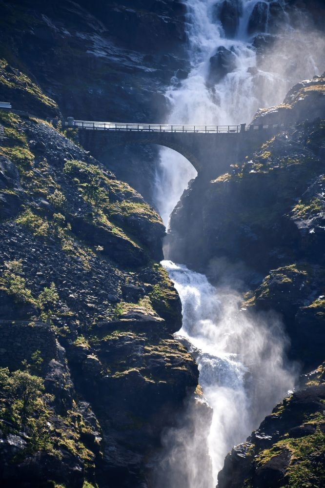 Фотография автора Anna NovaLova