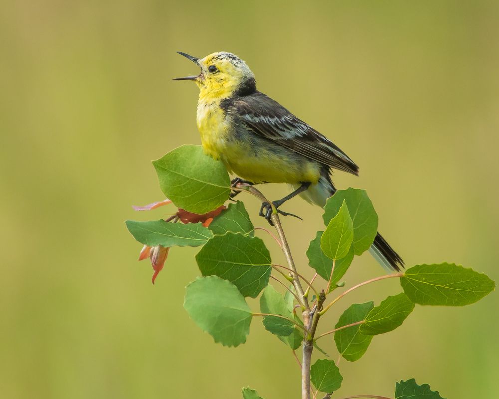 Фотография автора Суслов Дмитрий