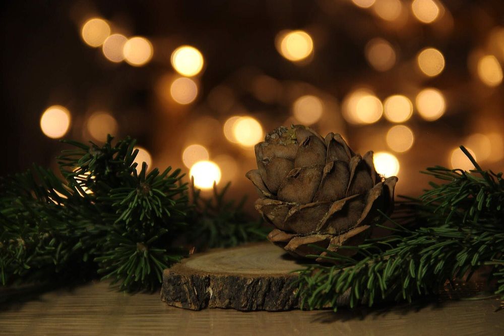 Photograph by Алина